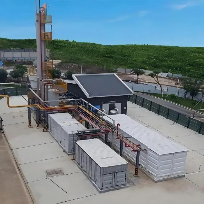 Biogas Purification System