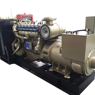 Generatorski set za bioplin od 300kw
